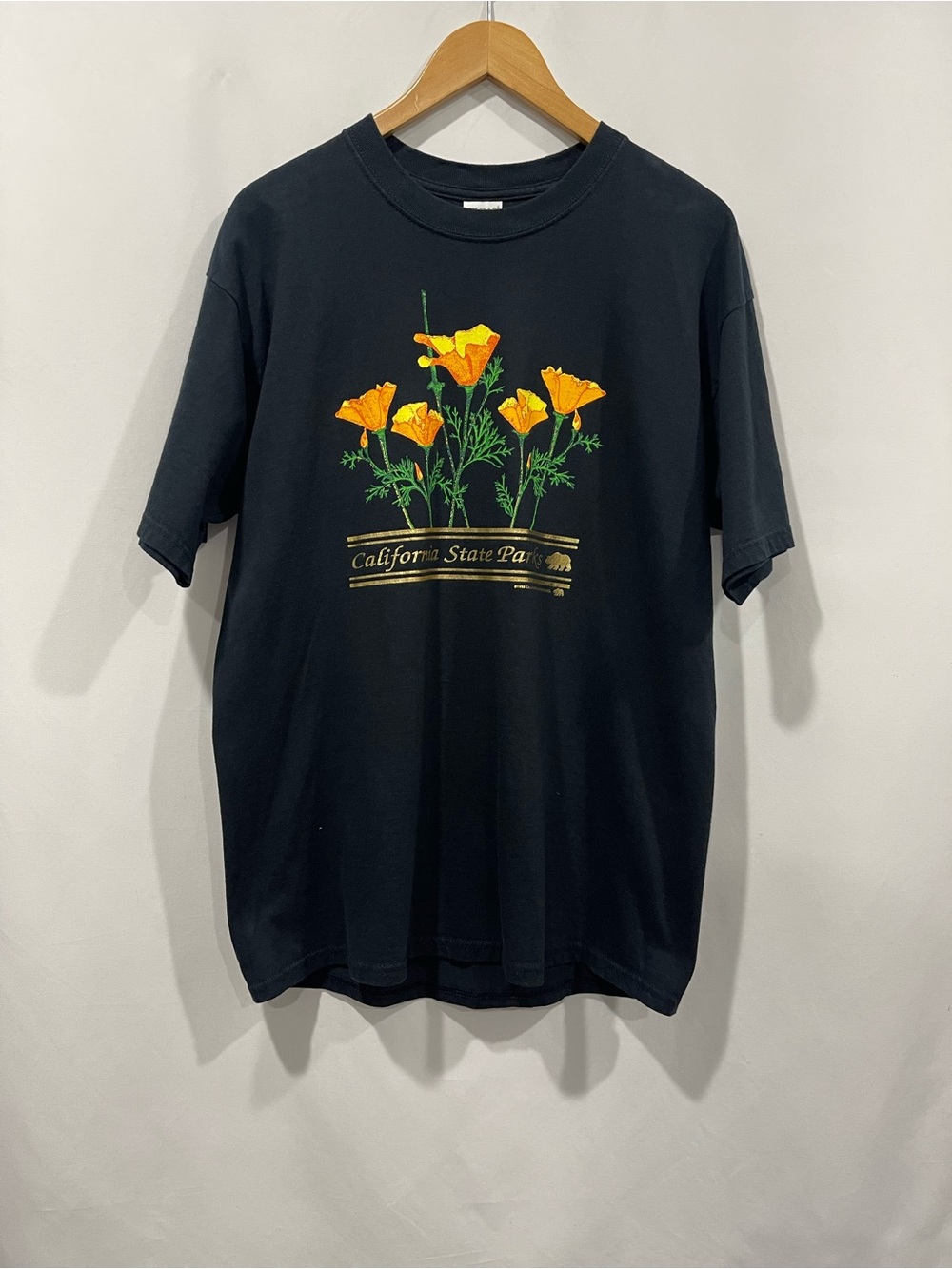 Vintage California State Park Poppy